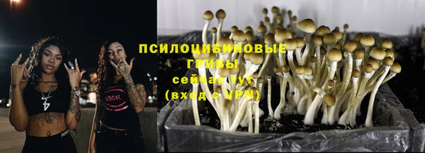 кокс Арсеньев