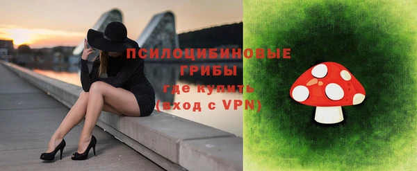 кокс Арсеньев