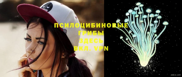 хмурый Дмитров