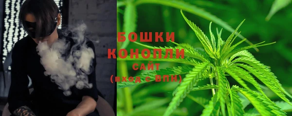 кокс Арсеньев