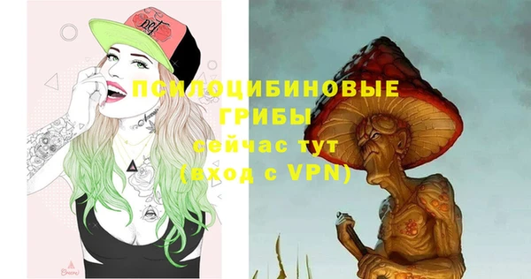 кокс Аркадак