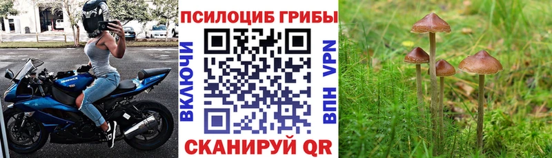Псилоцибиновые грибы ЛСД  Новый Оскол 